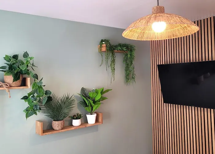 Le Savannah سانت-أومير